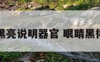 眼睛黑亮说明器官 眼睛黑得发亮