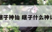 瞎子神仙 瞎子什么神话