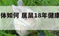 鼠18年身体如何 属鼠18年健康运势怎么样