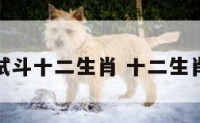 管理测试斗十二生肖 十二生肖测试钞