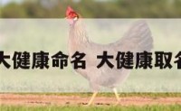 大健康命名 大健康取名