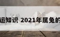 生肖兔开运知识 2021年属兔的怎样开运