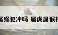 属虎属猴犯冲吗 属虎属猴相冲吗