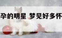 梦到很多怀孕的明星 梦见好多怀孕的女人什么预兆