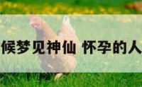 怀孕的时候梦见神仙 怀孕的人梦见神仙