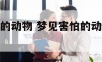 梦到自己怕的动物 梦见害怕的动物自己很恐惧