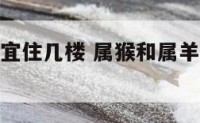 属猴和属羊宜住几楼 属猴和属羊的买房几楼最好