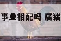 属猪和属龙的事业相配吗 属猪和属龙的做生意合不合