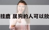 属狗的可以挂鹿 属狗的人可以放鹿的摆件么