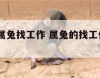 2020年属兔找工作 属兔的找工作吉祥方向