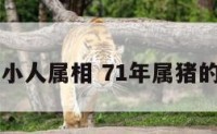 71年属猪小人属相 71年属猪的人的命运
