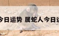 属蛇射手今日运势 属蛇人今日运势神巴巴