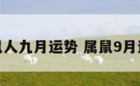 属鼠人九月运势 属鼠9月运程
