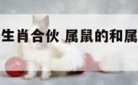 属鼠和什么生肖合伙 属鼠的和属什么的合伙做生意最好