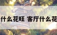 客厅什么花旺 客厅什么花好看