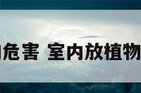 室内放植物的危害 室内放植物的危害有哪些