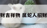 属蛇人的招财吉祥物 属蛇人招财吉祥物推荐