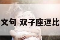 双子座逗比文句 双子座逗比文句有哪些