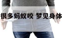 梦见身体被很多蚂蚁咬 梦见身体被很多蚂蚁咬伤