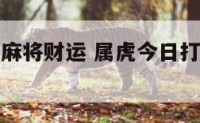 属虎今日打麻将财运 属虎今日打麻将财运及幸运颜色