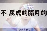 属虎生腊月好不 属虎的腊月的生日有什么说法