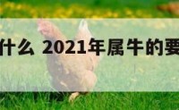 属牛注意什么 2021年属牛的要注意些什么