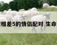 生命灵数相差5的情侣配对 生命灵数匹配