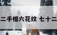 七十二手相六花纹 七十二掌纹