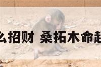 桑拓木命怎么招财 桑拓木命起什么名字好