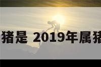 2019年属猪是 2019年属猪是水命吗