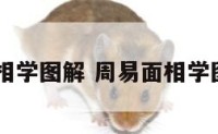 周易面相学图解 周易面相学图解pdf