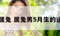 男人五月属兔 属兔男5月生的运势怎么样