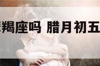 腊月初五是摩羯座吗 腊月初五是什么星座阴历