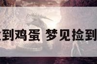 周公解梦捡到鸡蛋 梦见捡到了一个鸡蛋