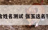 张玉含姓名测试 张玉这名字好吗