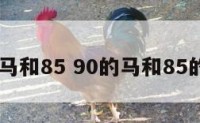 90的属马和85 90的马和85的牛配吗