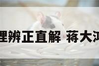 蒋大鸿地理辨正直解 蒋大鸿地理实例