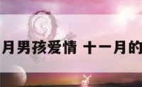 十一月男孩爱情 十一月的男人