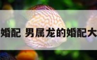 男属龙的婚配 男属龙的婚配大忌是什么