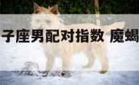 魔蝎女和双子座男配对指数 魔蝎座女和双子座男