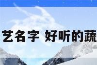 蔬菜公司文艺名字 好听的蔬菜公司名字