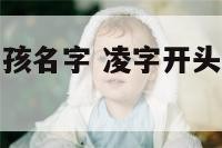 凌字开头的男孩名字 凌字开头的男孩名字寓意