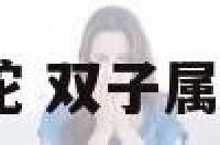 双子.属蛇 双子属蛇怎么样
