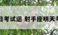 射手座明日考试运 射手座明天考试运如何