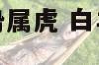 白羊座女今日运势属虎 白羊座女今日运势超准已婚