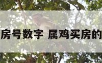 属鸡吉利房号数字 属鸡买房的幸运数字