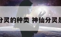 神仙分灵的种类 神仙分灵是什么