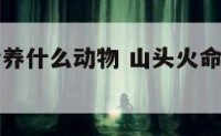 山头火适合养什么动物 山头火命养什么植物旺财