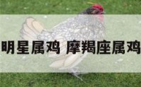 摩羯座女明星属鸡 摩羯座属鸡女人性格