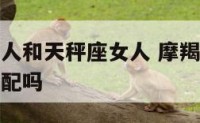 摩羯座的男人和天秤座女人 摩羯座的男人和天秤座女人配吗